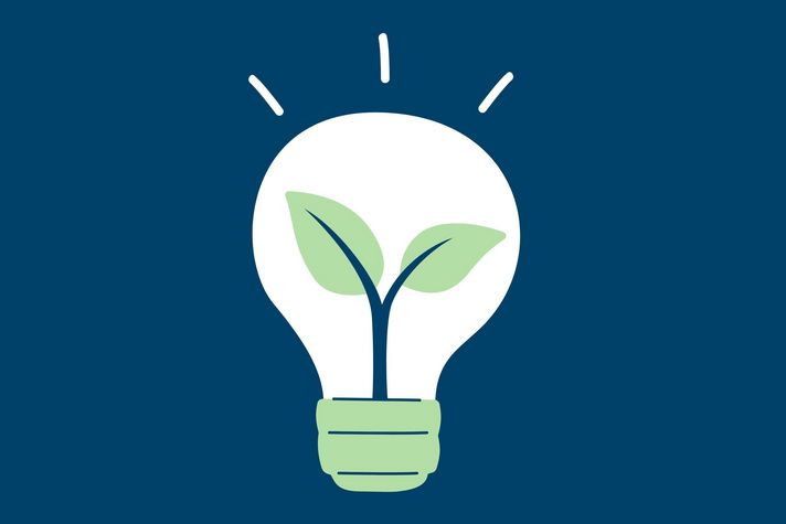 Auf dem Bild ist eine Glühbirne zu sehen, in der eine Pflanze wächst - als Symbol für energieeffiziente Maßnahmen.