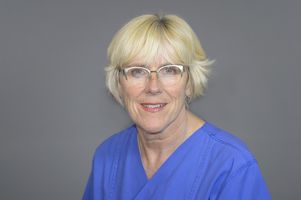 Portrait Ramona Dincher 