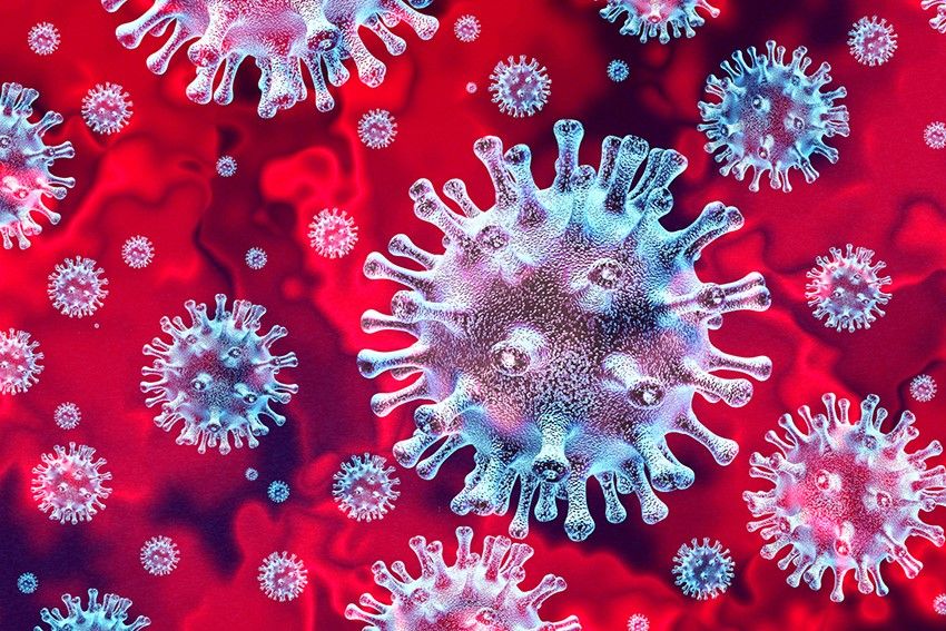 Das Bild zeigt das Corona-Virus vielfach vergrößert.