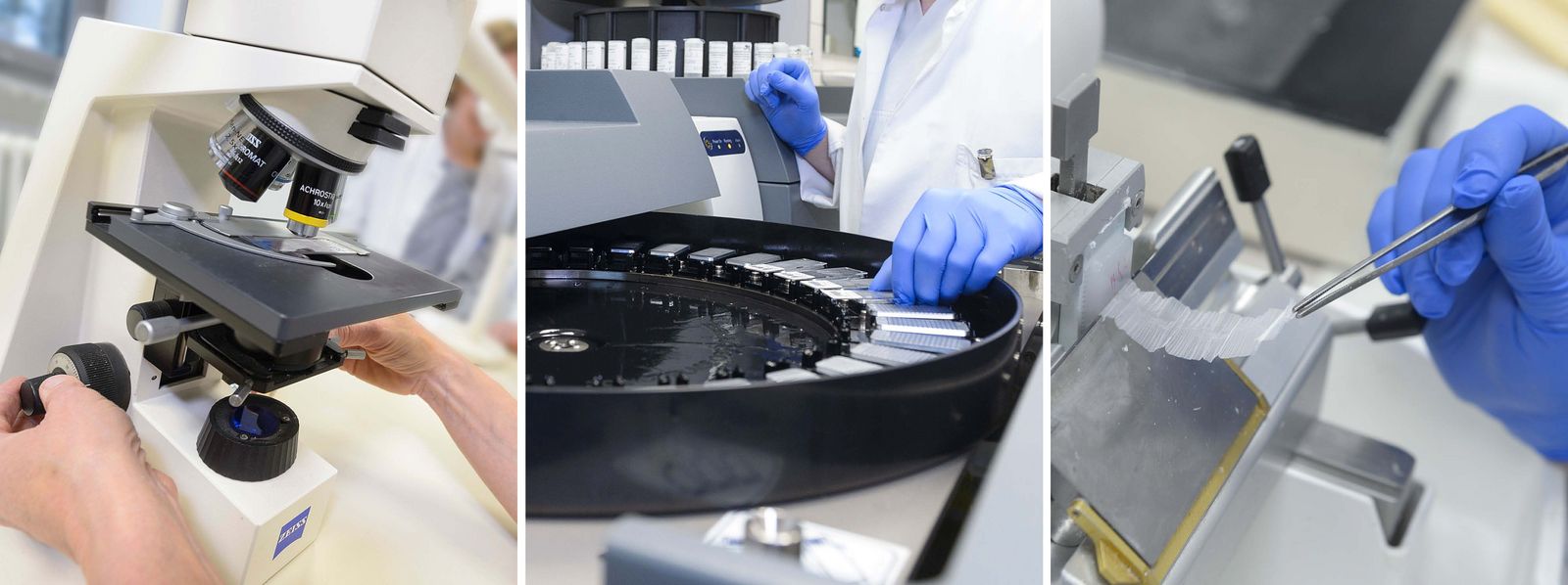 Collage mit drei Bildern vom pathologischen Arbeiten, Probenanalyse, Mikroskop MVZ_Pathologie_Slider.jpg