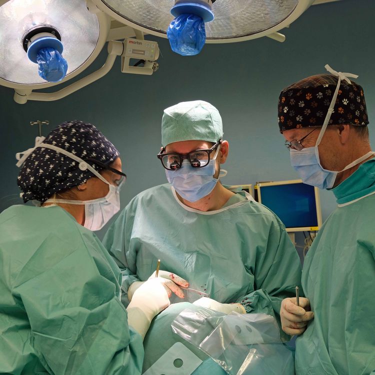 Blick in den OP bei einer gefäßchirurgischen Operation mit Chefarzt Dr. Michael Steffen