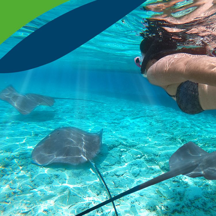 tauchende Frau unter Wasser, die Fische beobachtet, oben links: Teile des Logos vom Klinikum Saarbrücken