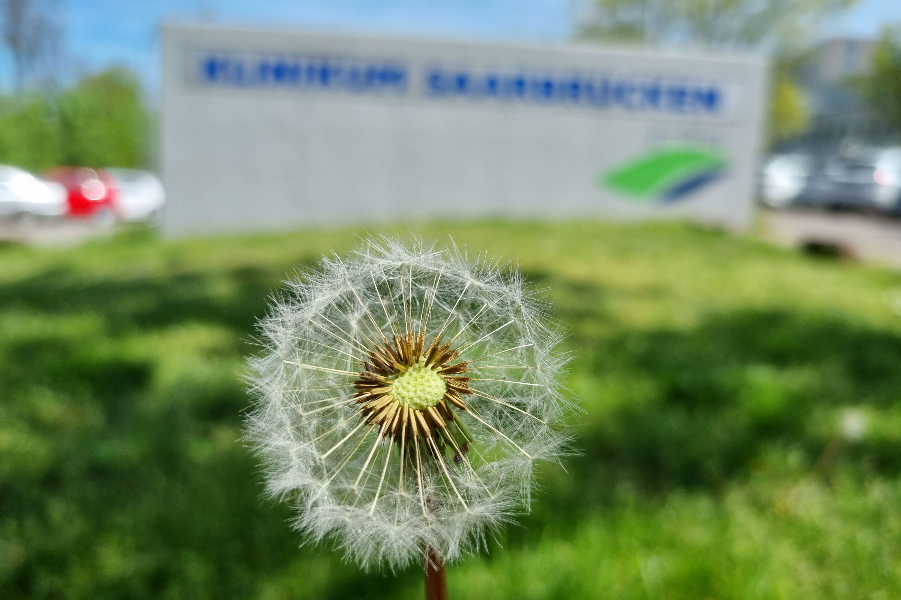 Pusteblume vor dem Schriftzug Klinikum Saarbrücken