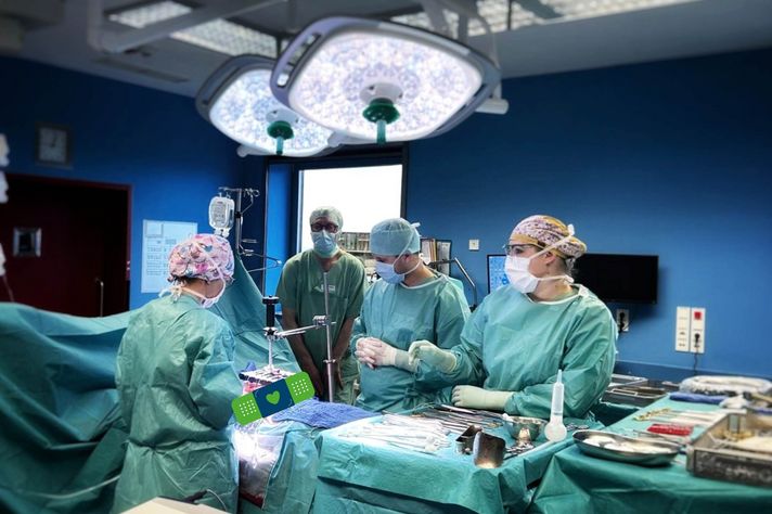 Ein Foto aus dem OP. Darauf zu sehen sind vier Ärzte, die um den OP-Tisch stehen und die Bauchwand operieren