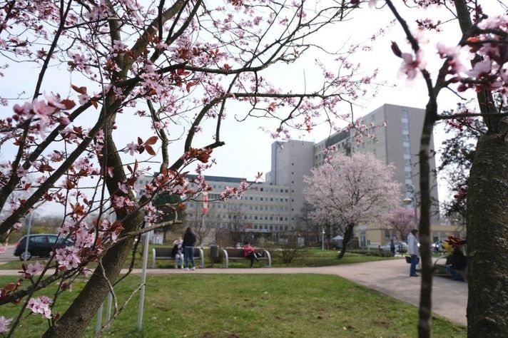 Klinikum Saarbrücken Gebäudeansicht im Frühling