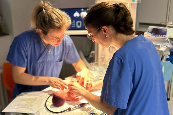 Neonatologinnen üben an der Simulationspuppe Paul verschiedene Behandlungsschritte bei der Versorgung eines Frühgeborenen.