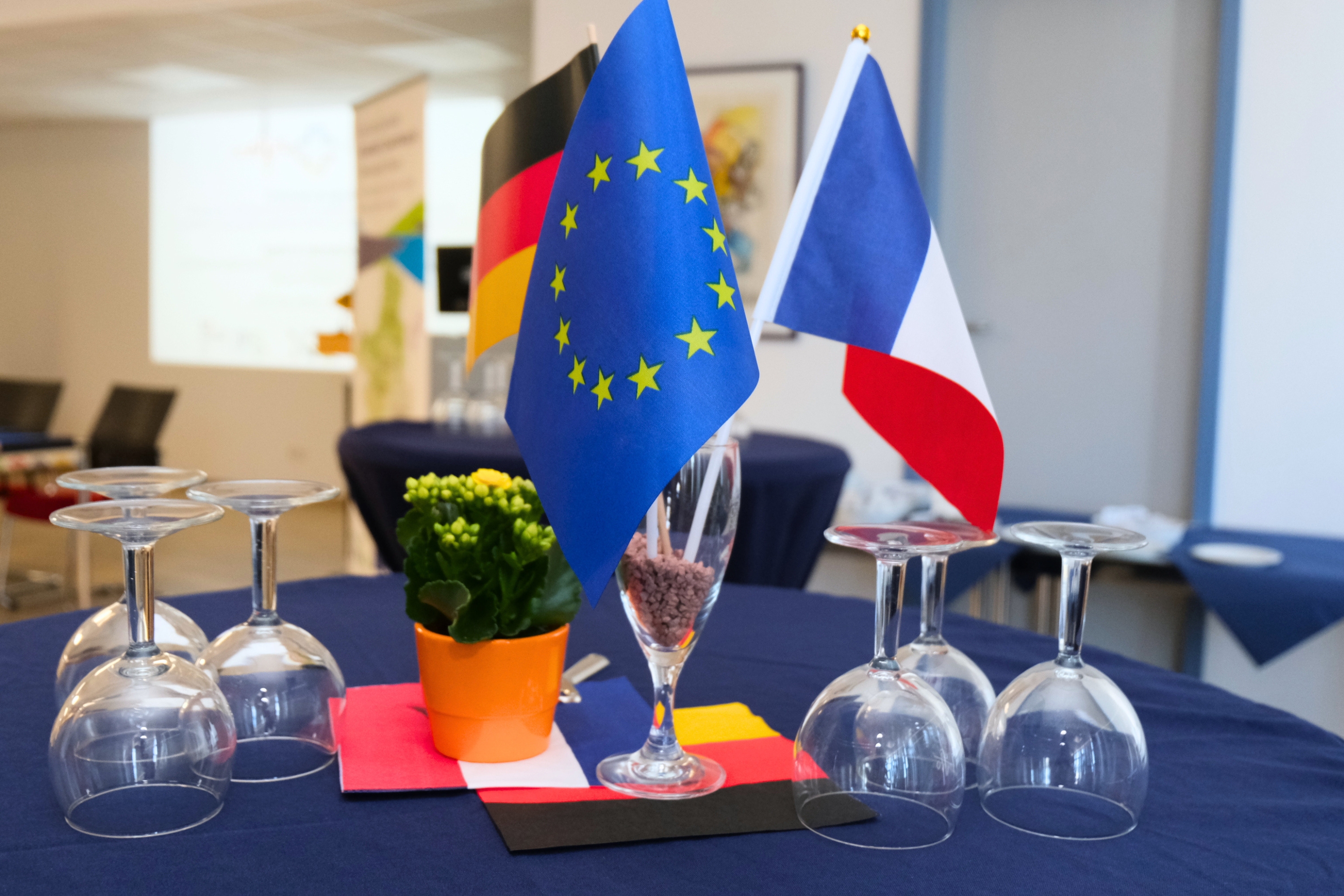 Deutsche, französische und europäische Dekoflaggen